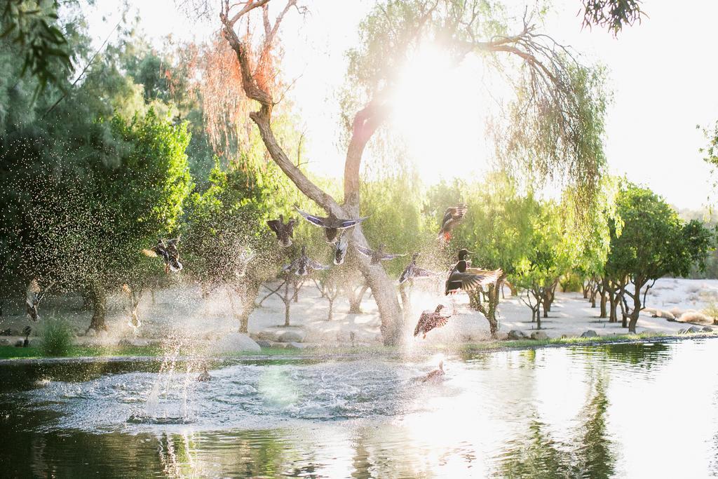 Two Bunch Palms Resort & Spa - Adults Only Desert Hot Springs Exterior photo