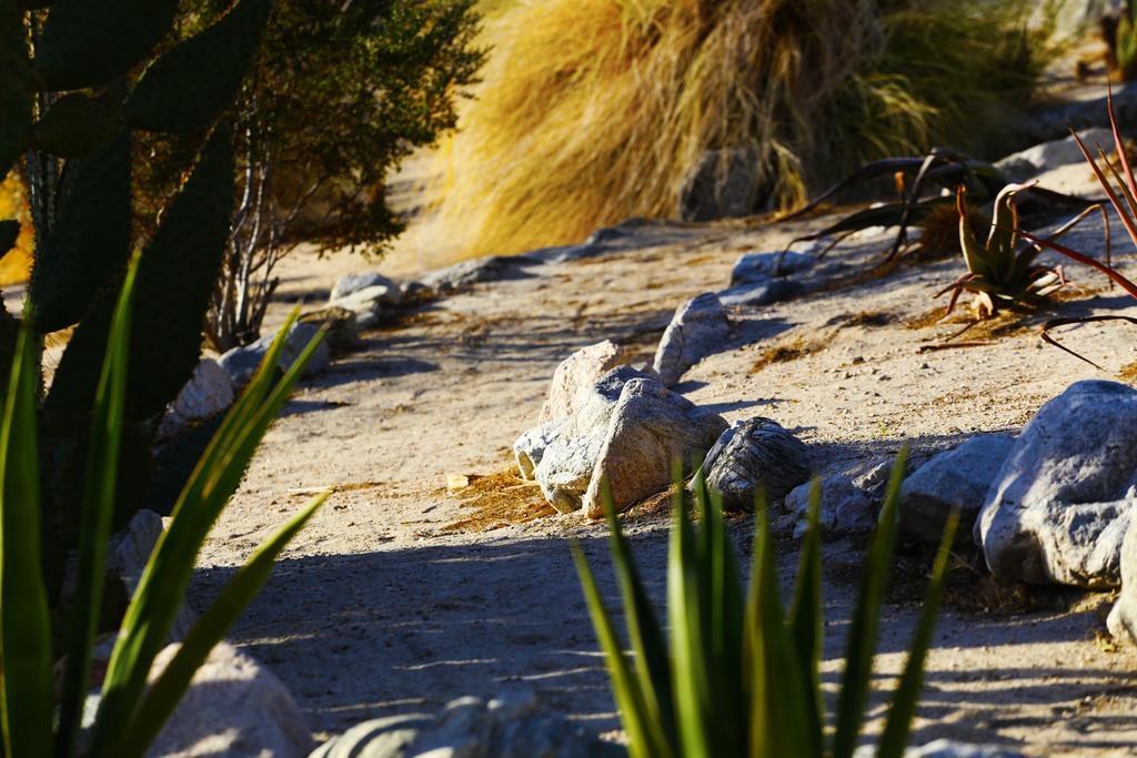 Two Bunch Palms Resort & Spa - Adults Only Desert Hot Springs Exterior photo